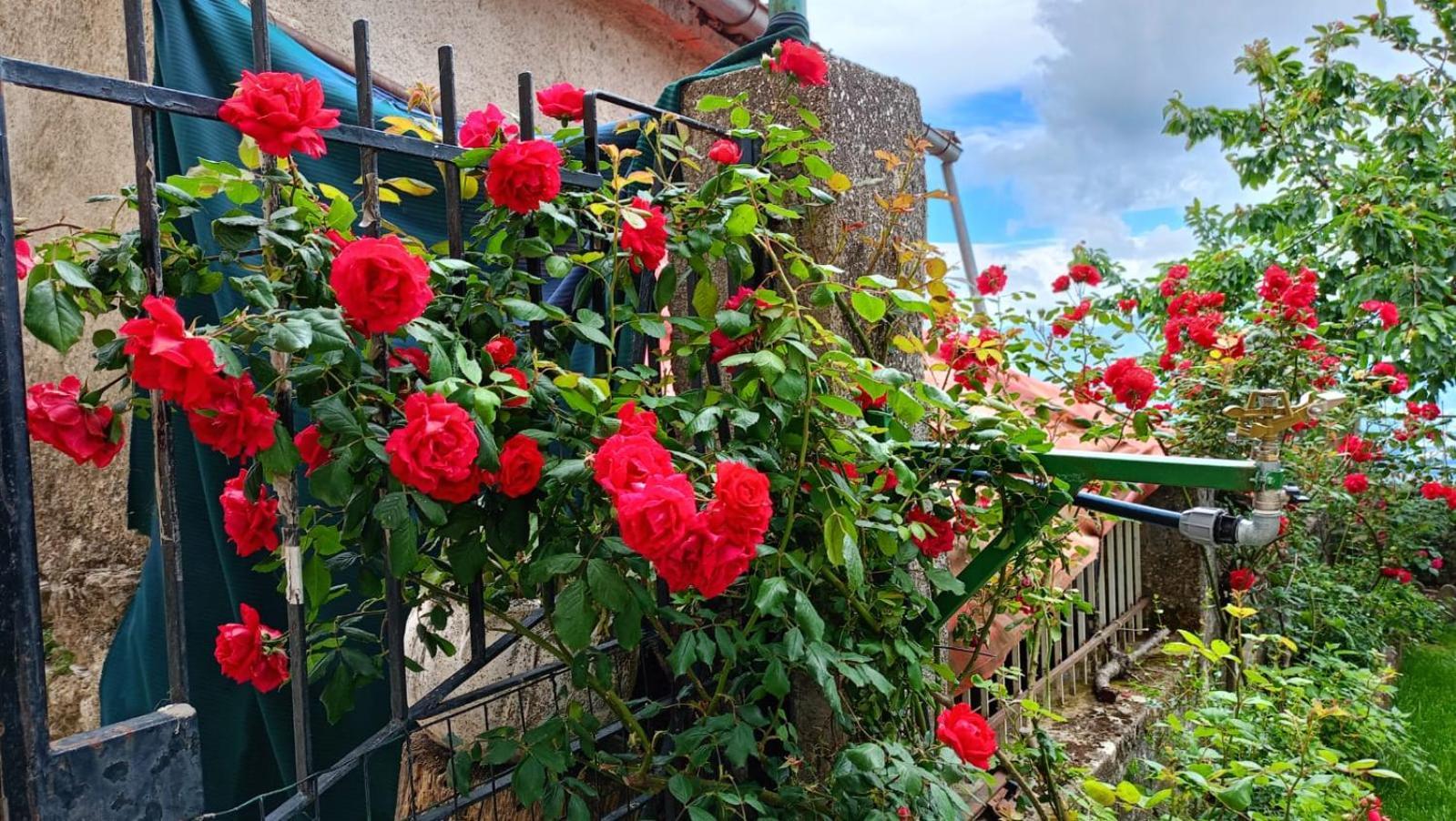 Locazione Turistica" La Rupe" Villa Marsicovetere Buitenkant foto